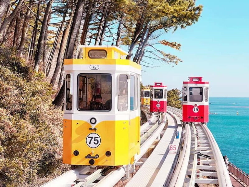 Busan: Max Out City Highlights Photo Spots Full Day Tour - The Sum Up