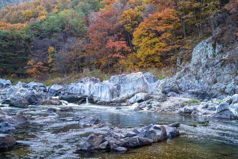 Busan: Mt. Jiri or Juwangsan Park Autumn Foliage Day Tour - FAQ