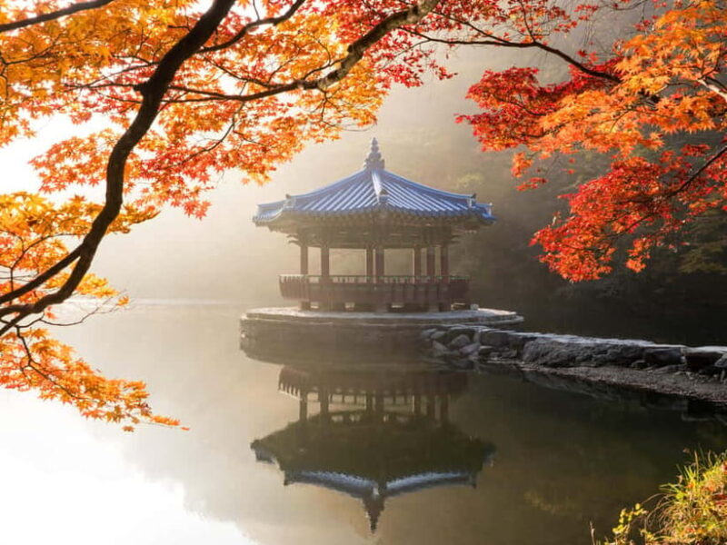 Busan: Naejangsan National Park Autumn Foliage One Day Tour - Detailed Review of the Naejangsan Autumn Foliage Tour