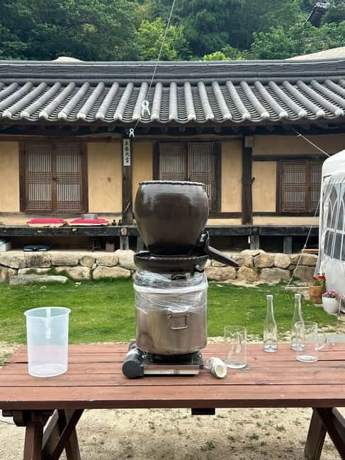 Busan: Naeyeonsan Mountain Hike with Makgeolli Brewing - Who Will Enjoy This Tour?
