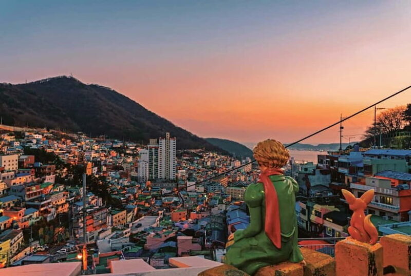 Busan Night Tour: Market, Skywalk & Optional SnapShot - Who Will Love This Tour?