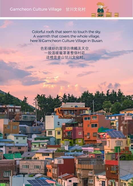 Busan Night Tour & Optional Snapshots - Authentic Experiences and Real Traveler Feedback