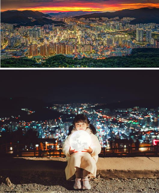 Busan Night Tour & Optional Snapshots - The Sum Up: Who Should Consider This Tour?