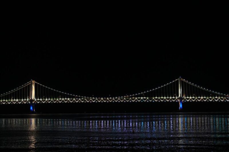 Busan: Night Viewpoints with Evening Cruise w/ Fireworks - Authentic Insights from Reviews