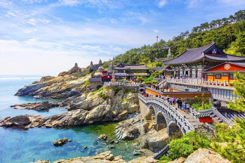 Busan: Private Chartered Car Tour - An Honest Look at a Private Busan Tour