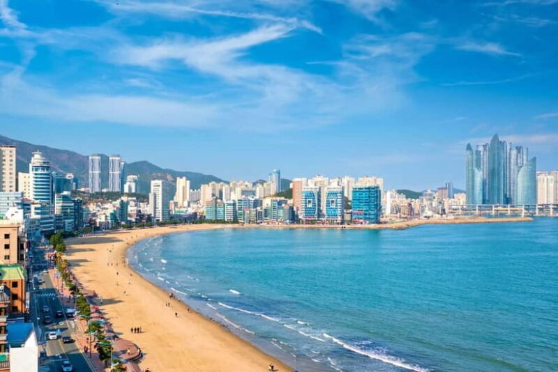 Busan: Private Chartered Car Tour - The Sum Up