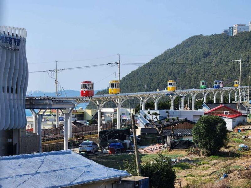 Busan private tour with an official tour guide - An Authentic Day in Busan: Private Guided Tour Review