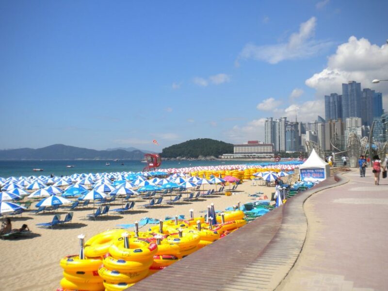 Busan Private Walking Tour with a Local - The Sum Up: Who Is This Tour Best For?