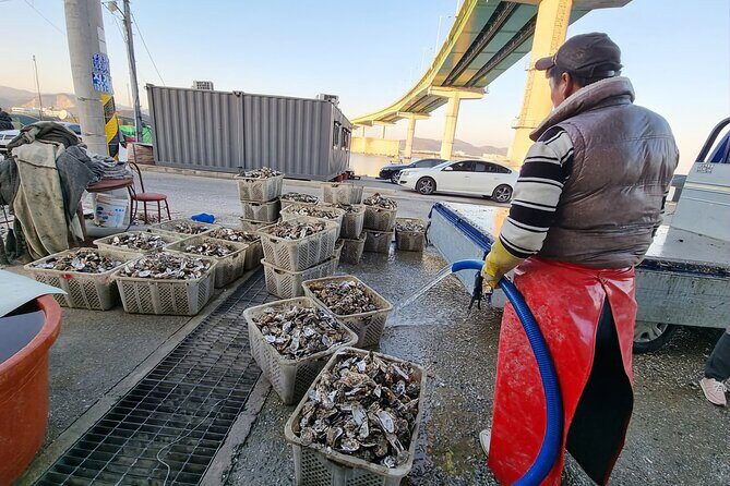 Busan Seafood Tour : Oyster village Tour with Oyster cuisines - Authenticity and Value