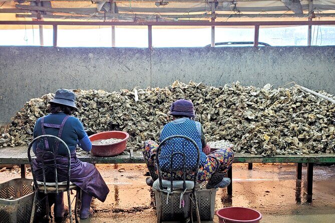Busan Seafood Tour : Oyster village Tour with Oyster cuisines - Final Thoughts: Who Will Love This Tour?