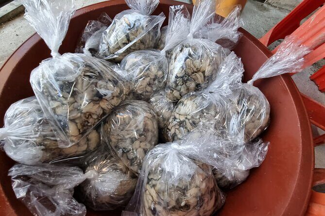 Busan Seafood Tour : Oyster village Tour with Oyster cuisines - FAQs