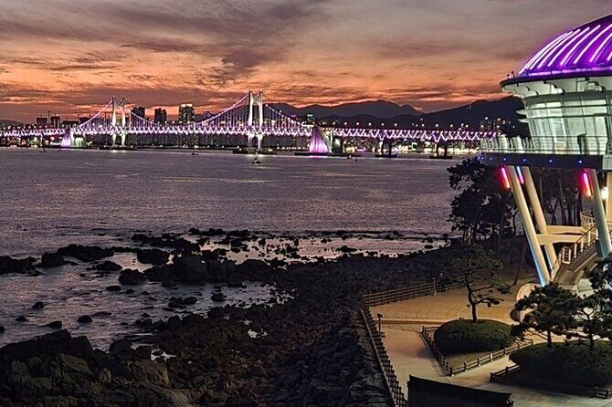 Busan shared tour up to 12 guests - Final Thoughts: Is This Tour Worth It?