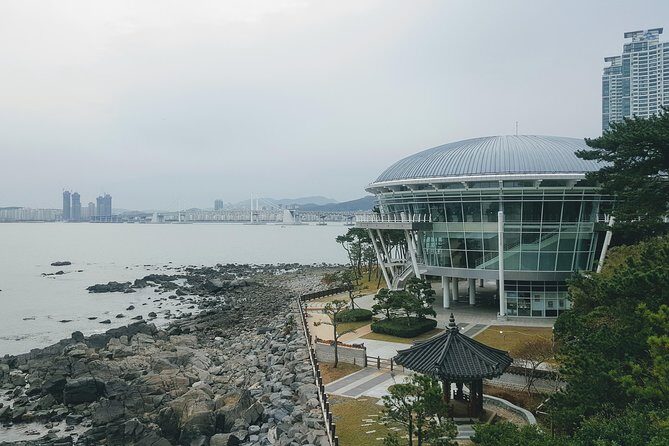 Busan Shore Excursion; Private City Tour - Who Would Love This Tour?