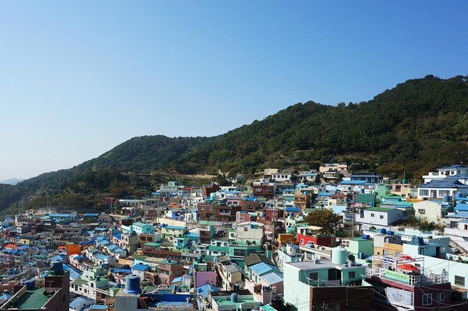 Busan Sightseeing Tour Including Gamcheon Culture Village and Beomeosa Temple - What to Expect from This Busan Day Tour