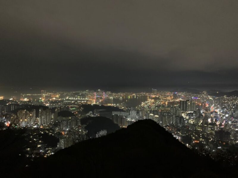 Busan: The best night view small group tour - An In-Depth Look at Busan’s Night View Tour