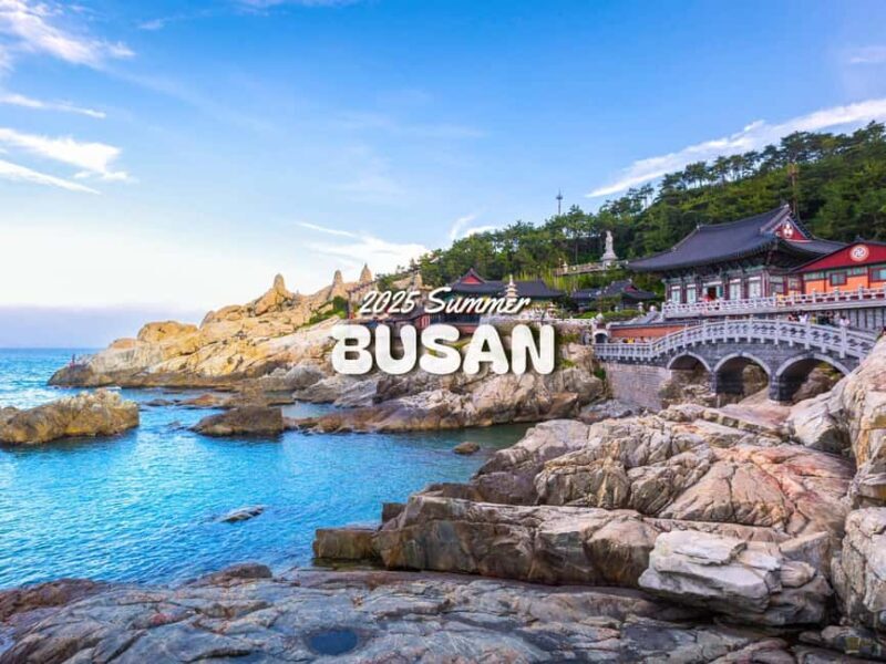 Busan: Top Attractions Authentic One-Day Guided Tour - Who Should Consider This Tour?