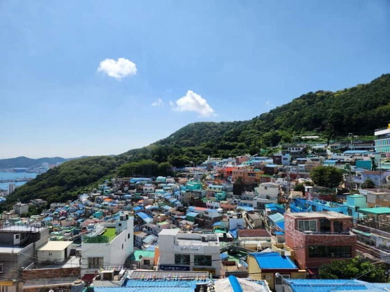 Busan Tour with Gamcheon Village & haedong yonggungsa temple - The Itinerary: A Closer Look
