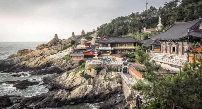 Busan Tour with Gamcheon Village & haedong yonggungsa temple - Authentic Experiences and Guest Insights