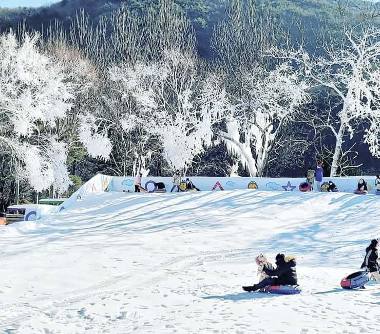 Busan: Winter Healing Park and (Gyeongju/Daegu) One Day Tour - Introduction