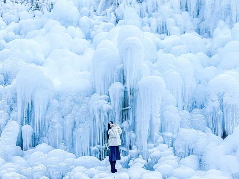 Busan: Winter Healing Park and (Gyeongju/Daegu) One Day Tour
