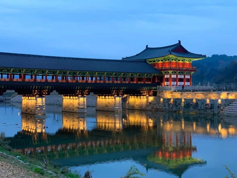 Busan: Winter Healing Park and (Gyeongju/Daegu) One Day Tour - Kookmin Healing Park and Its Snowy Delights