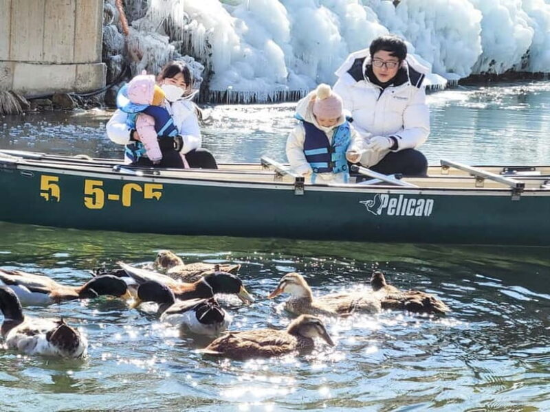 Busan: Winter Healing Park and (Gyeongju/Daegu) One Day Tour - What’s the Value?