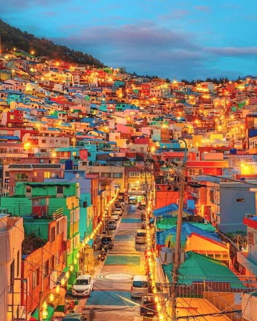 Busan: Your Private Custom Tour  Half/Full - An In-Depth Look at the Tour Experience