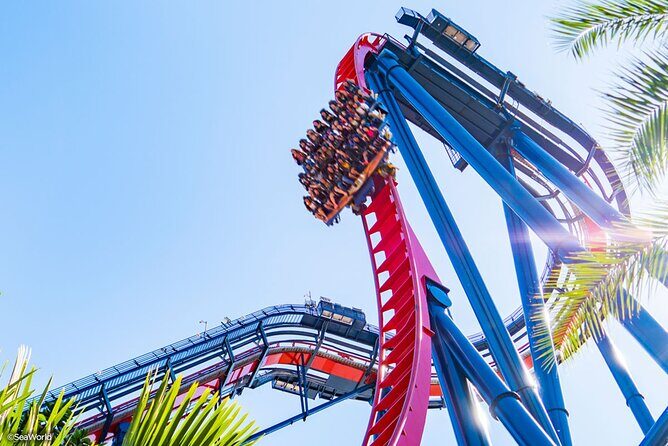 Busch Gardens Tampa Bay Admission Ticket - A Closer Look at the Park’s Highlights