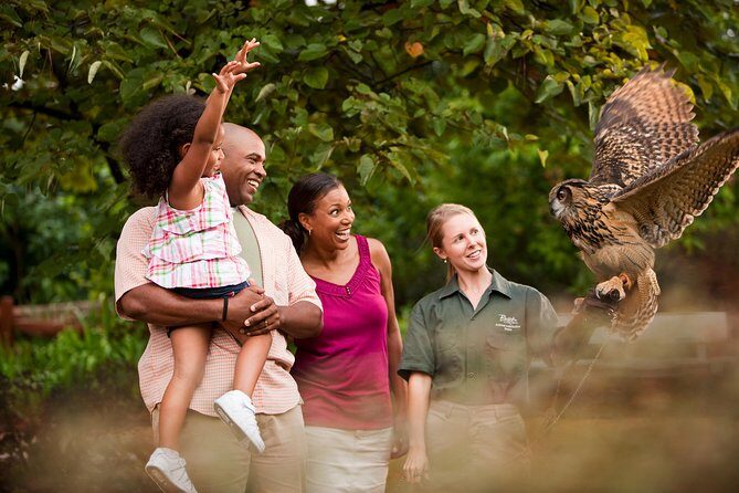 Busch Gardens Williamsburg Admission Ticket - FAQ