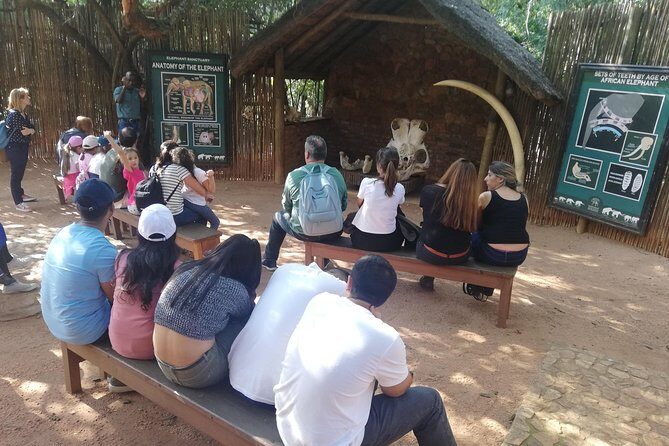 Bush Babies & Monkey Sanctuary and Elephants walk Private - The Value of This Tour for Travelers