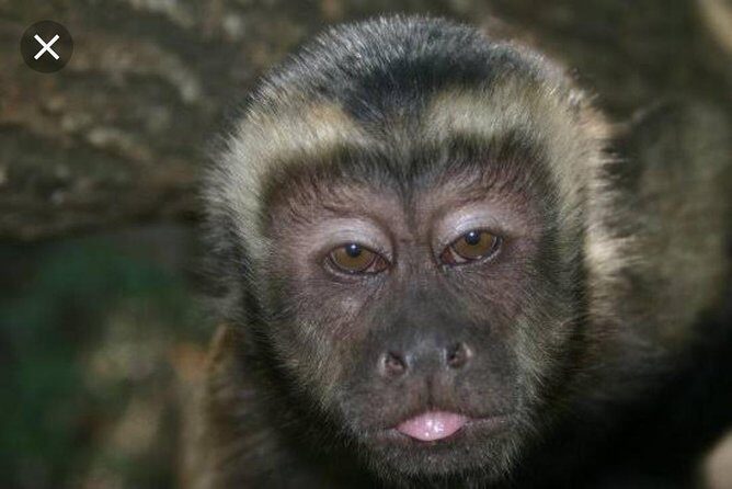 Bush Babies & Monkey Sanctuary and Elephants walk Private - Final Thoughts
