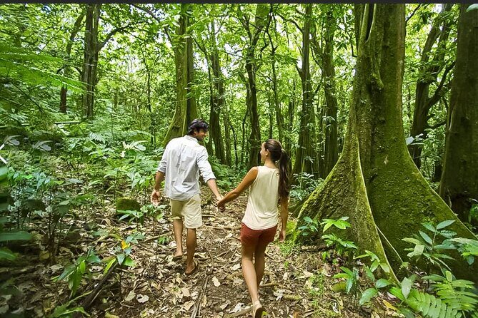 Bush Hiking to explore Wild Plants & Fresh Fruits,Montego Bay - What Recent Travelers Say