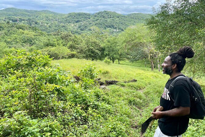 Bush Hiking to explore Wild Plants & Fresh Fruits,Montego Bay - The Sum Up