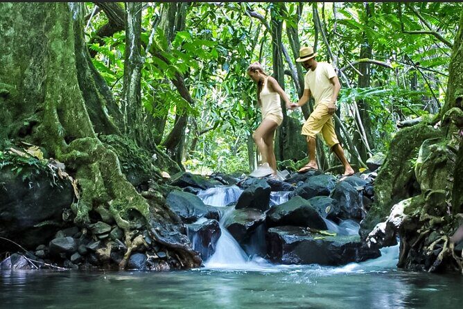 Bush Hiking to explore Wild Plants & Fresh Fruits,Montego Bay - FAQs