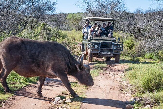 Bush Safari - FAQs