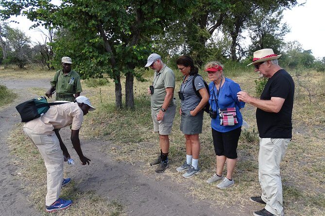 Bush Walking Safari Experience & Rhino Safari - MINIMUM 2 PEOPLE - Key Points
