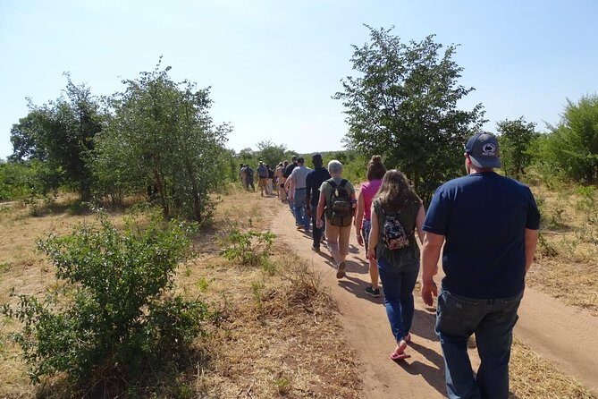 Bush Walking Safari Experience & Rhino Safari - MINIMUM 2 PEOPLE - What to Wear and Bring