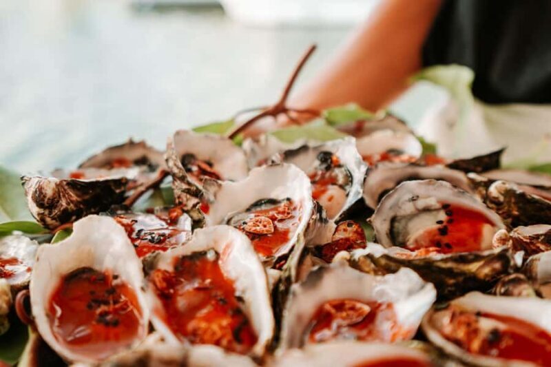 Bushtucker Cultural Cruise - An In-Depth Look at the Experience