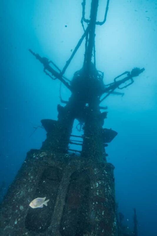 Busselton / Dunsborough : HMAS Swan Wreck Scuba Dive - An In-Depth Look at the HMAS Swan Wreck Tour