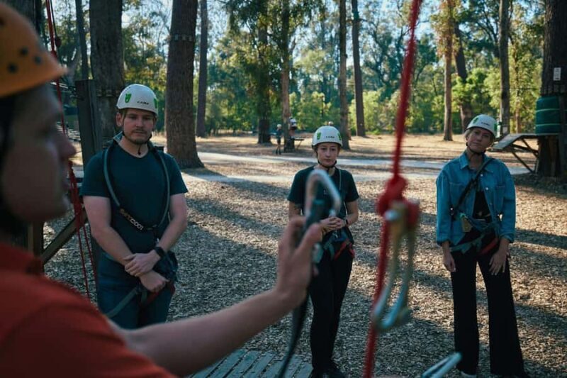 Busselton: Forest Adventure with Zip Lining and Rope Course - The Activities in Detail