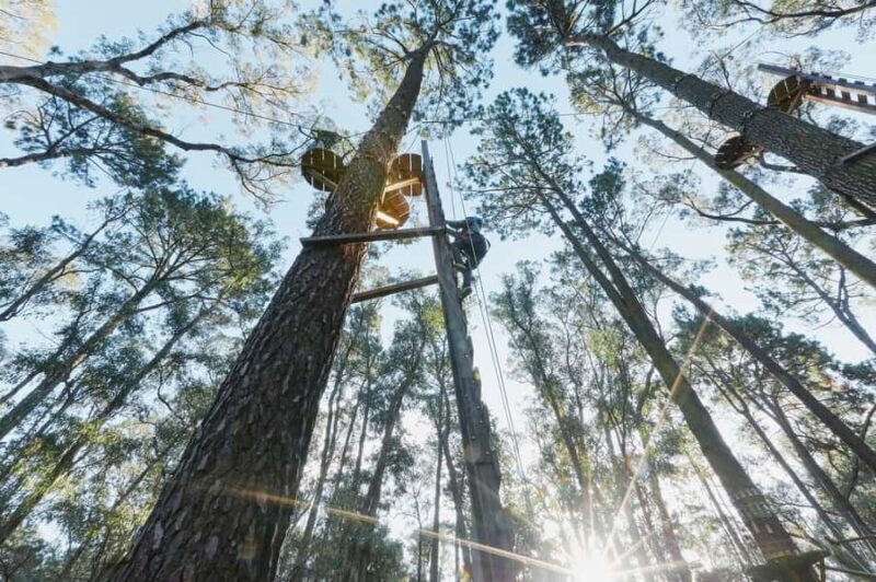 Busselton: Forest Adventure with Zip Lining and Rope Course - Why It Works