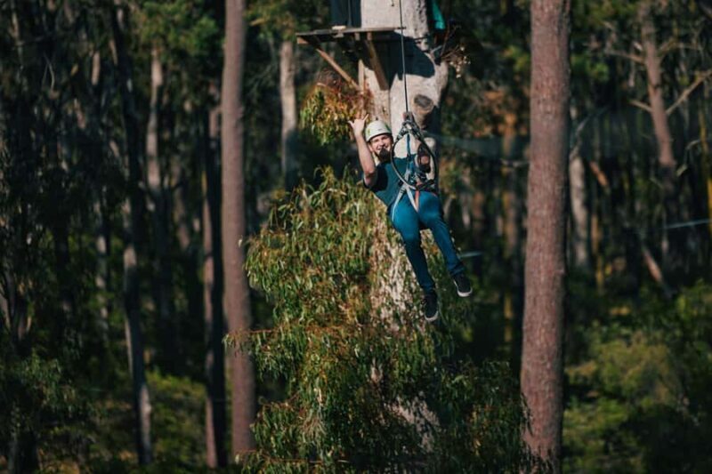 Busselton: Forest Adventure with Zip Lining and Rope Course - The Sum Up