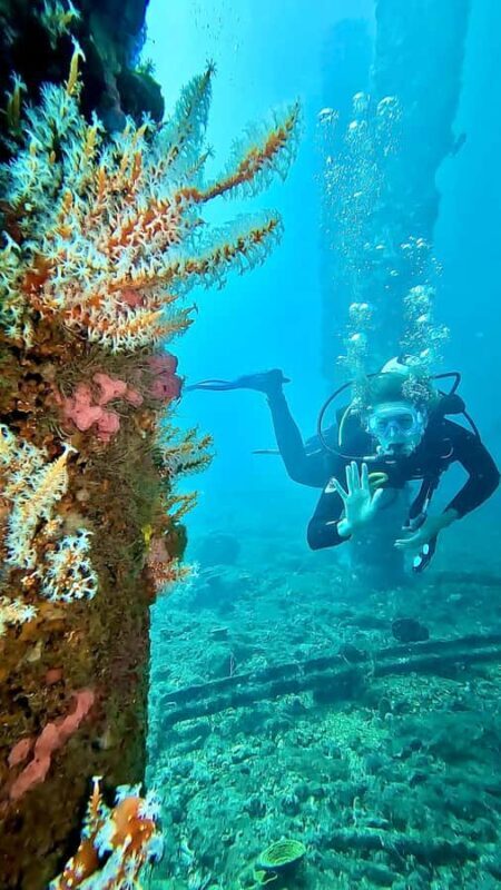 Busselton: Jetty Discover Scuba Diving Experience - Key Points