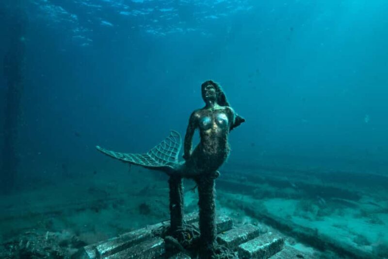 Busselton: Jetty Discover Scuba Diving Experience - The Bottom Line