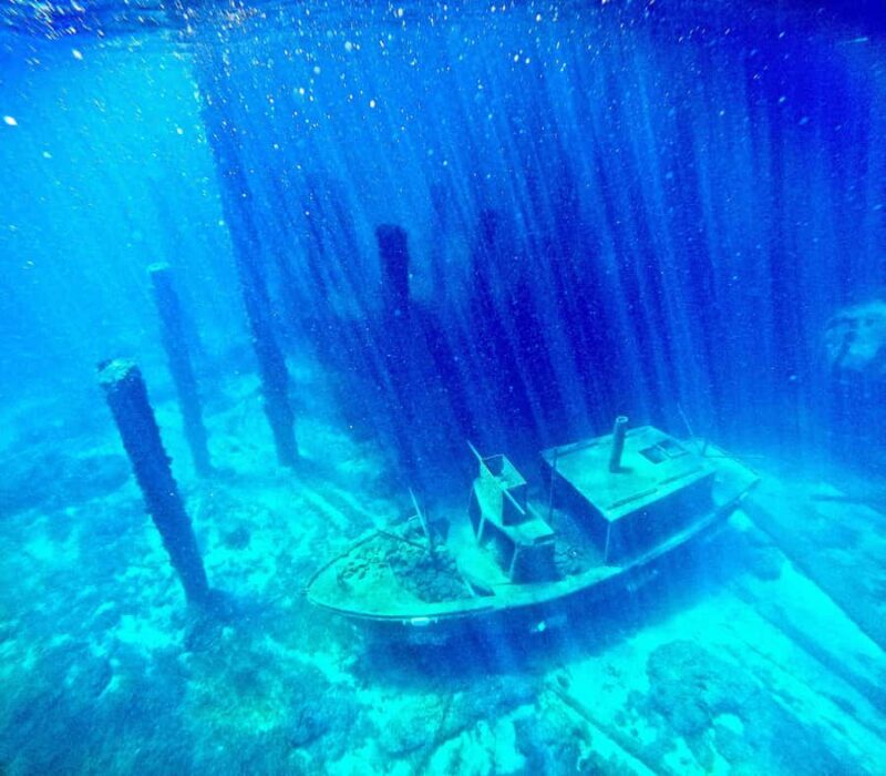 Busselton: Jetty Scuba Dive Tours with Underwater Sculptures - Practical Details & Tips