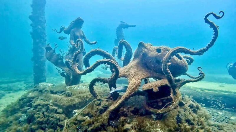 Busselton: Jetty Snorkeling Tour with Underwater Sculptures - Experience Overview