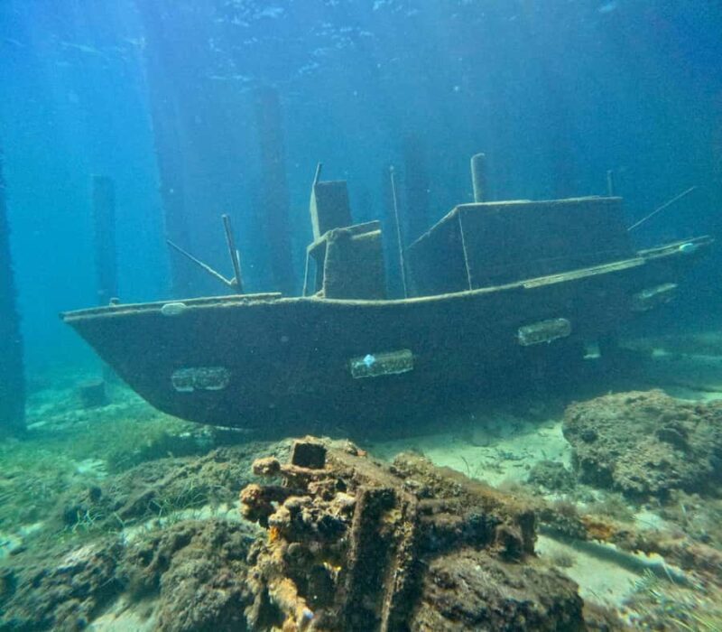 Busselton: Jetty Snorkeling Tour with Underwater Sculptures - The Sum Up: Who Should Consider This Tour?