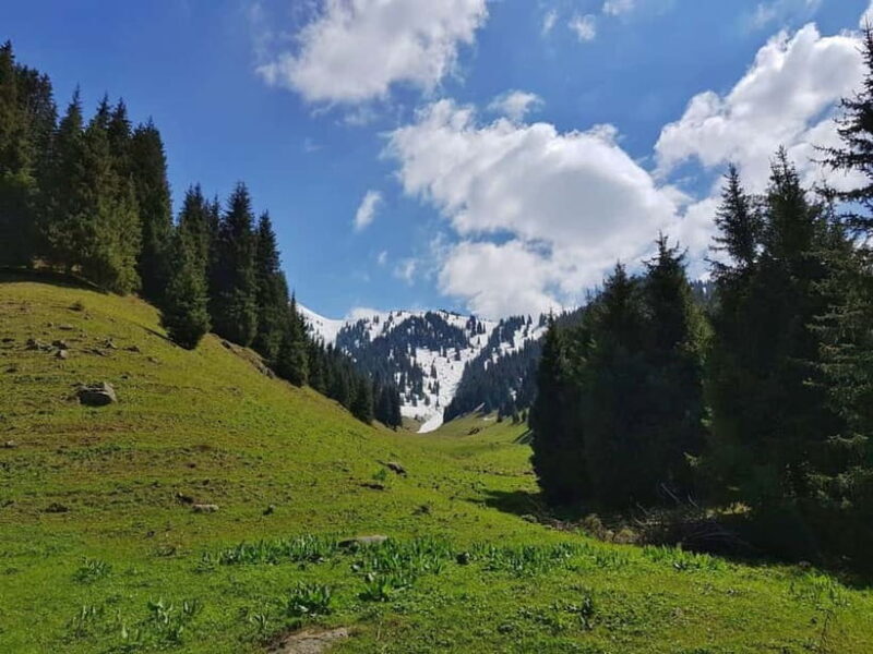 "Butakovka Waterfall" - a half day tour - Introducing the Experience
