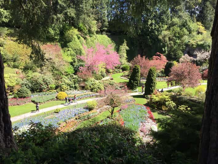 Butchart & Beyond: The Grand Victoria Tour - Exploring Victoria in Style and Comfort