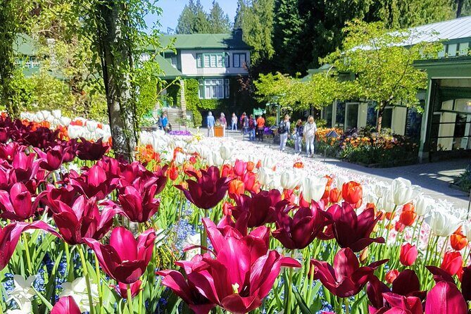 Butchart Gardens and City Highlights Private tour - An In-Depth Look at the Tour Itinerary